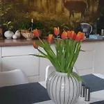 Z Tarasem Przy Parku Apartmán *