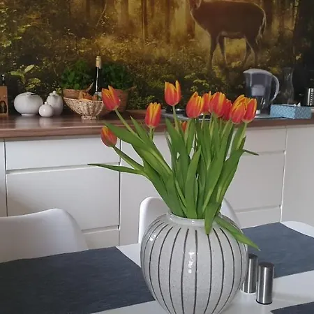 Z Tarasem Przy Parku 아파트 *